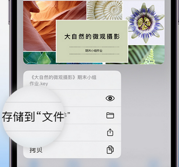 城子河apple维修中心分享iPhone文件应用中存储和找到下载文件