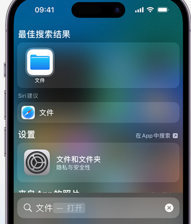 城子河apple维修中心分享iPhone文件应用中存储和找到下载文件 