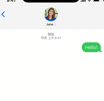 城子河apple维修iPhone上无法正常发送iMessage信息