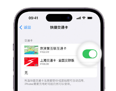 城子河apple维修点分享iPhone上更换Apple Pay快捷交通卡手绘卡面 