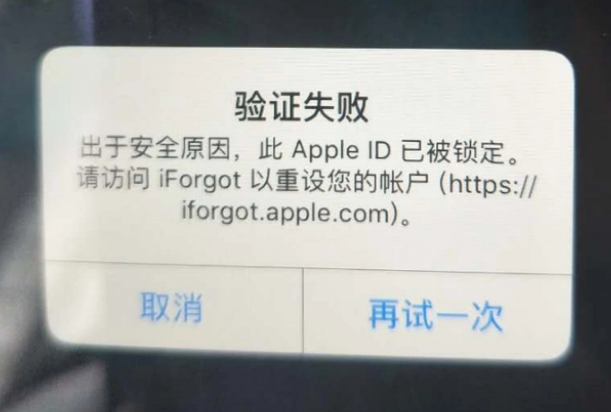 城子河iPhone维修分享iPhone上正常登录或使用AppleID怎么办 