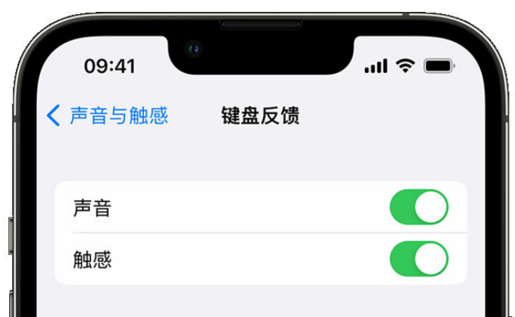 城子河苹果手机维修分享iPhone 14触感键盘使用方法 