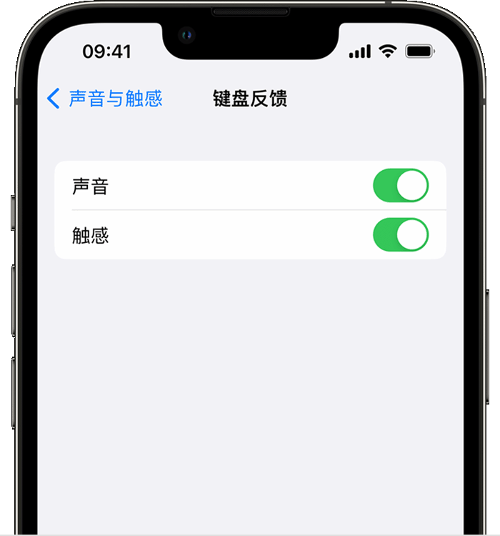 城子河苹果14维修店分享如何在 iPhone 14 机型中使用触感键盘 