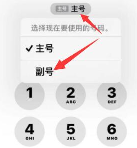 城子河苹果14维修店分享iPhone 14 Pro Max使用副卡打电话的方法 