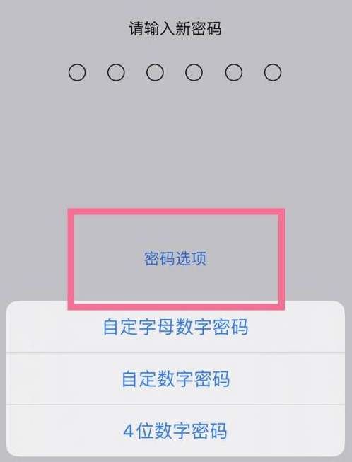 城子河苹果14维修分享iPhone 14plus设置密码的方法 