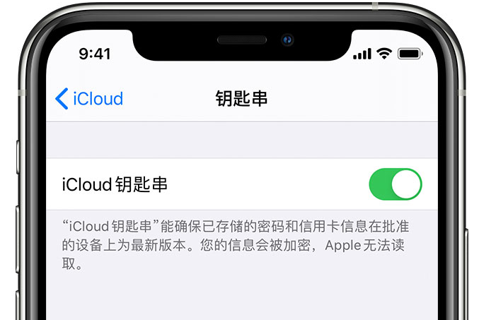 城子河苹果手机维修分享在 iPhone 上开启 iCloud 钥匙串之后会储存哪些信息 