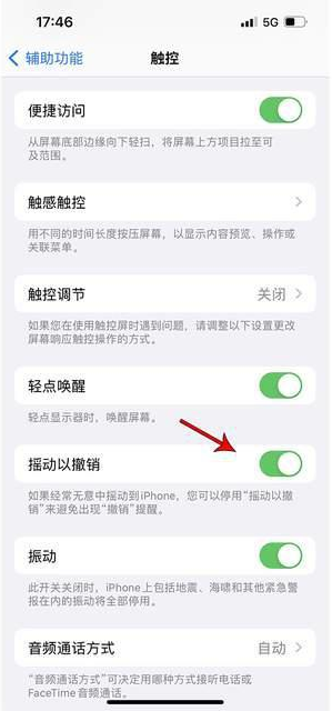 城子河苹果手机维修分享iPhone手机如何设置摇一摇删除文字 